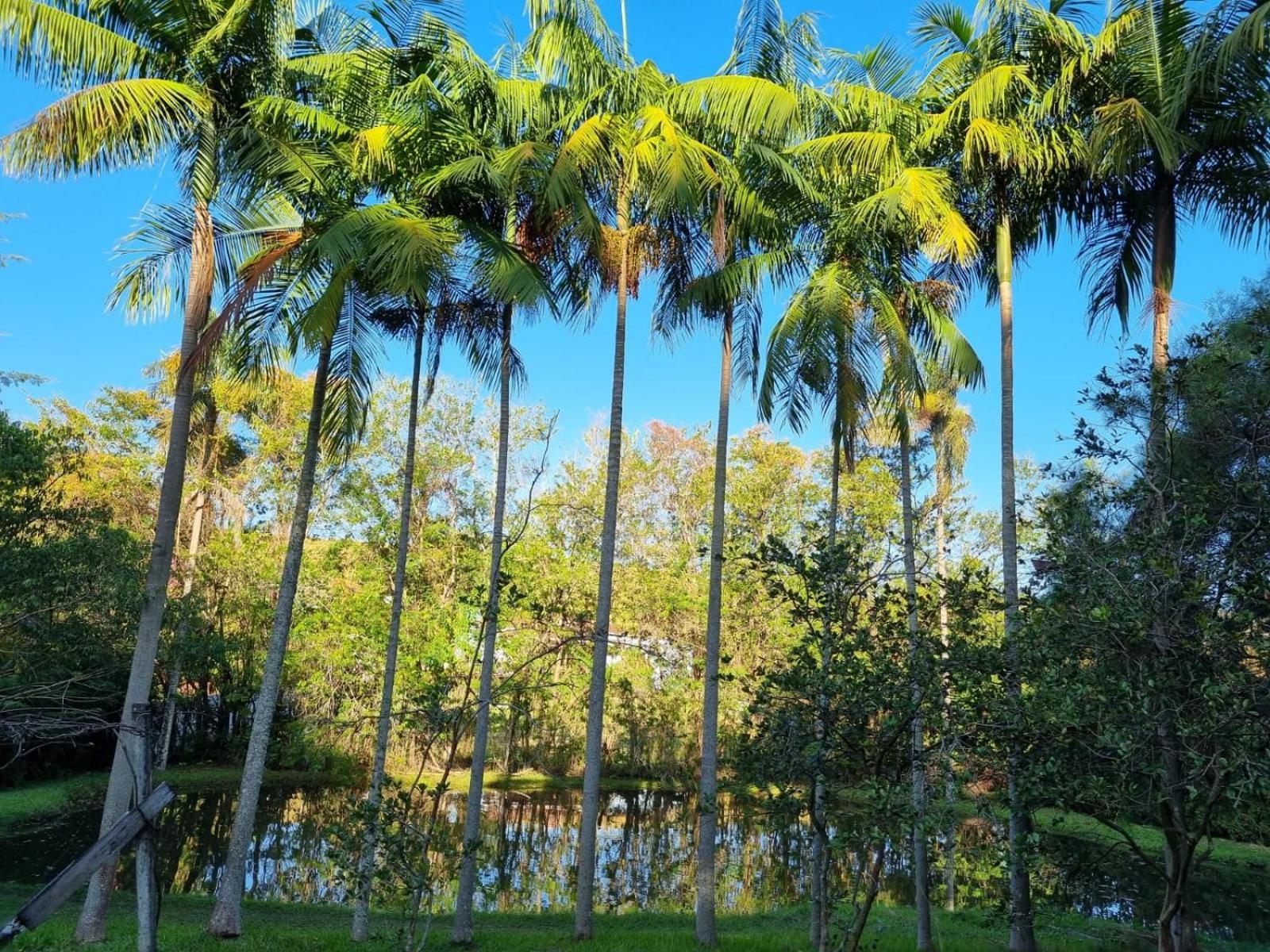 Contempla Joanopolis Hotel ภายนอก รูปภาพ
