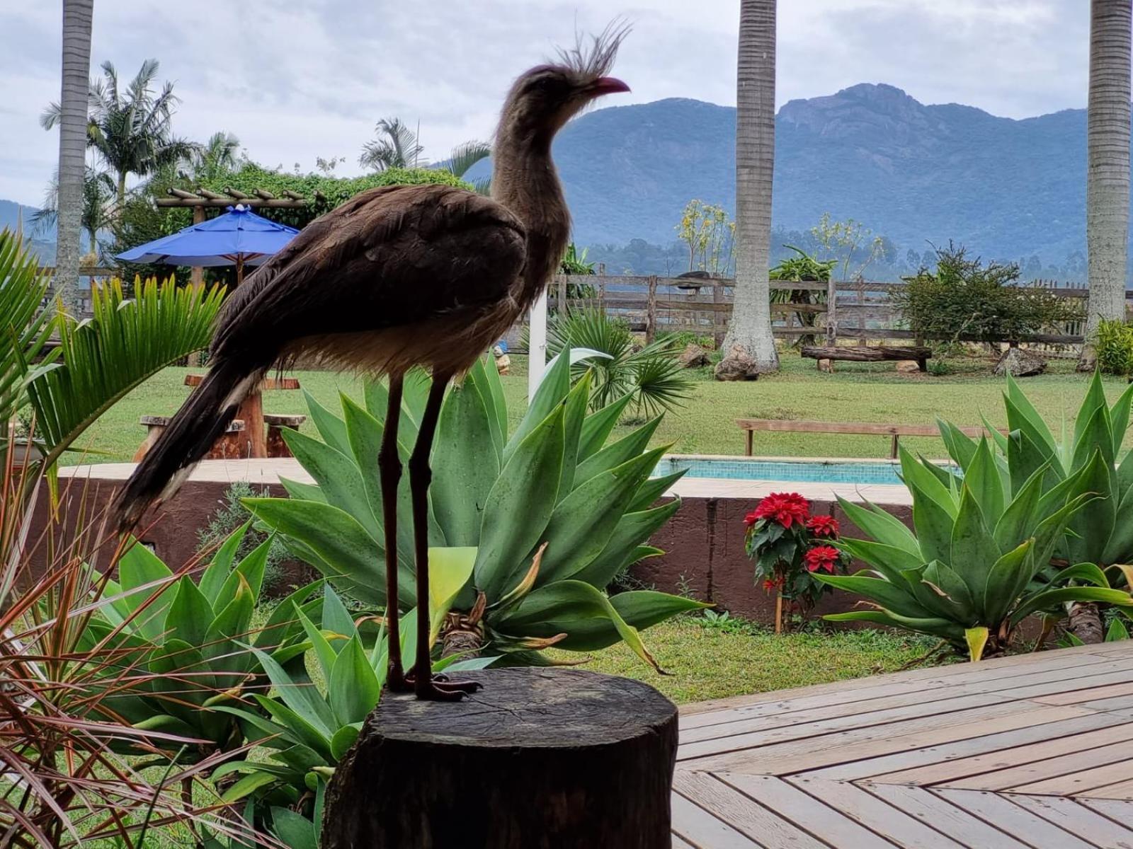 Contempla Joanopolis Hotel ภายนอก รูปภาพ