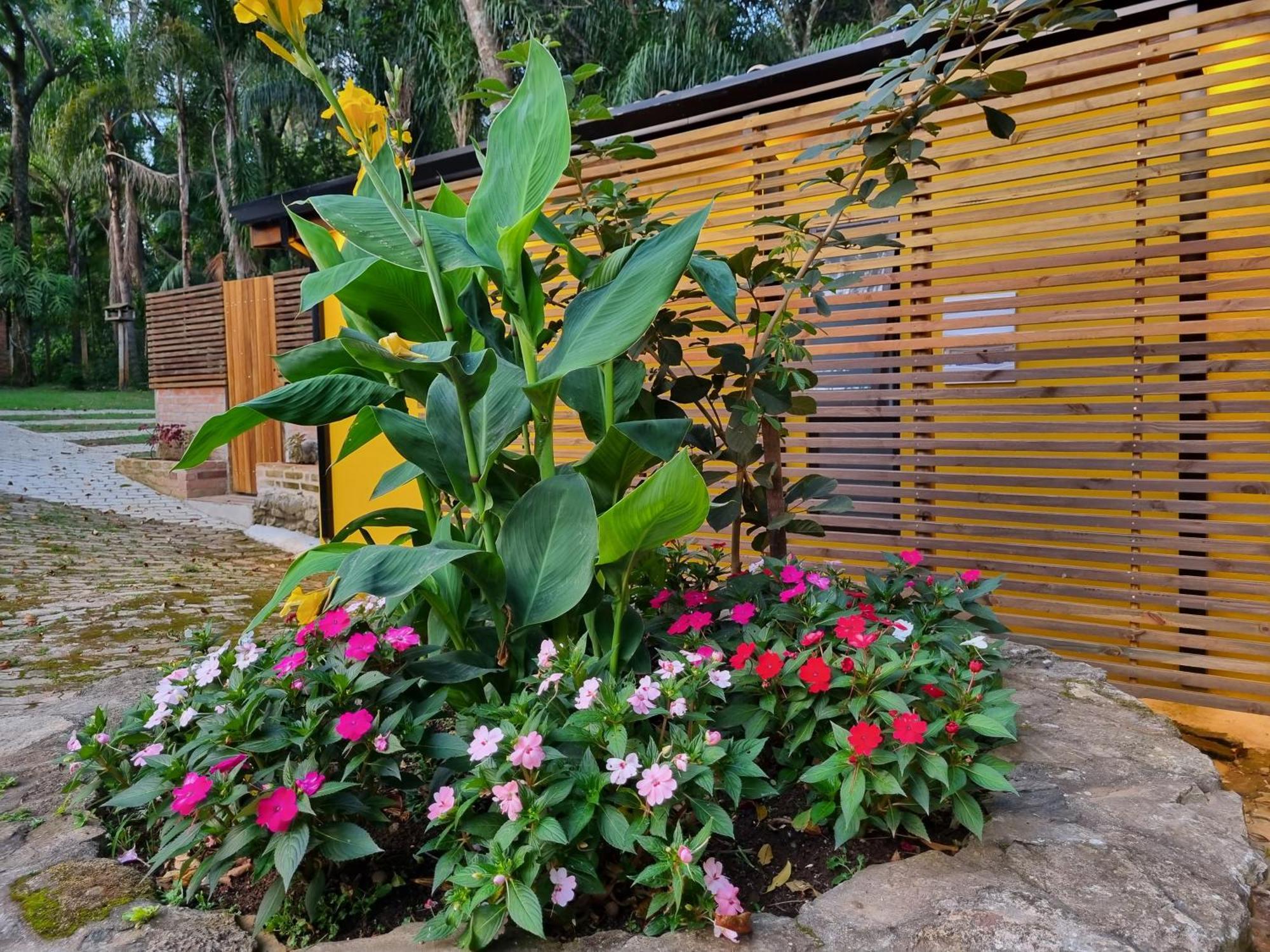 Contempla Joanopolis Hotel ภายนอก รูปภาพ